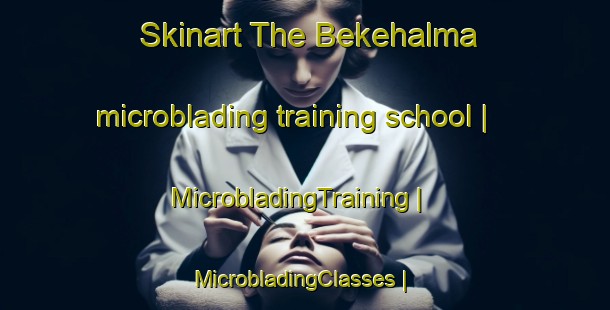 Skinart The Bekehalma microblading training school | MicrobladingTraining | MicrobladingClasses | SkinartTraining-Hungary